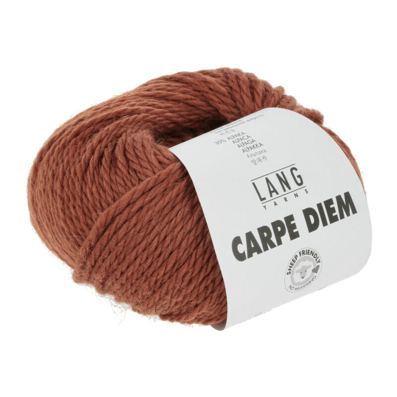 Carpe Diem BRAUN 0087