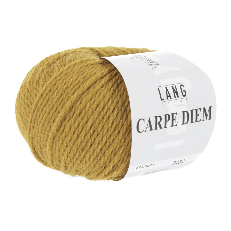 Carpe Diem BRONZE 0211