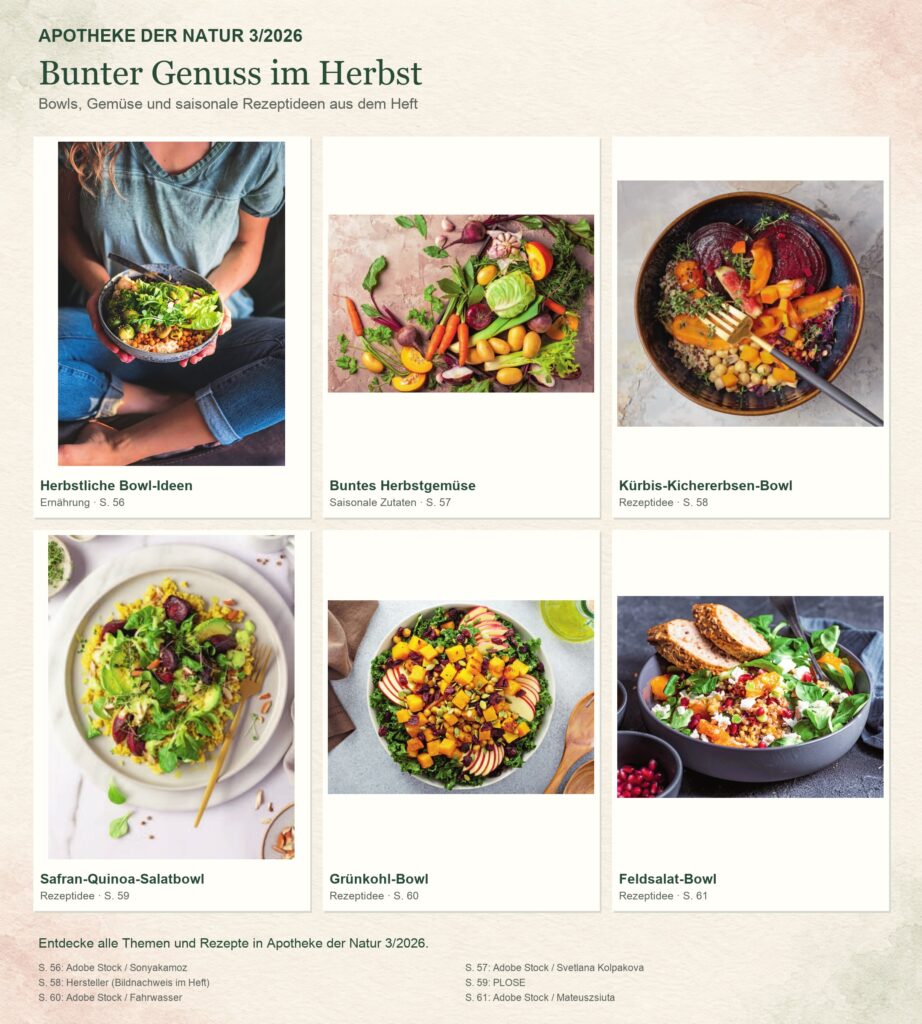 Apotheke der Natur 3/2026: Herbstliche Bowl-Ideen, Buntes Herbstgemüse, Kürbis-Kichererbsen-Bowl, Safran-Quinoa-Salatbowl, Grünkohl-Bowl, Feldsalat-Bowl. Sechs Originalbilder aus dem Heft.